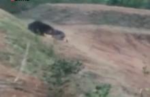 Man ‘trying to take selfie' dies after being mauled by bear