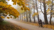 Cycling, walking in nature may improve mental health