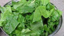 Eating spinach helps prevent vision loss