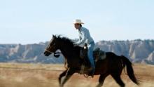 US film critics choose ‘The Rider’ as best movie