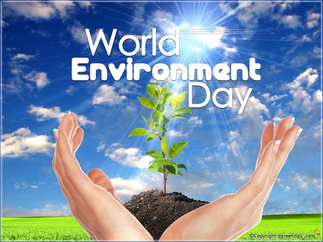 World Environment Day: What do we know and what responsibility we have
                          
