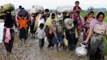 370,000 Rohingyas flee Myanmar, enter Bangladesh
