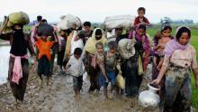 Commonwealth commends Bangladesh response to Rohingya refugees