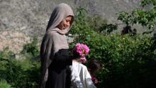 Afghan farmers prefer roses to guns

