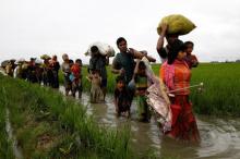 Too soon to send Rohingya back: UN rights envoy