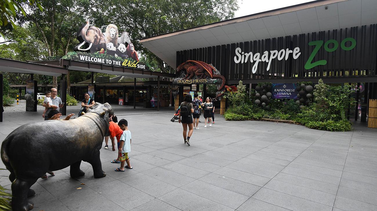 Singapore eco-tourism plan sparks protest